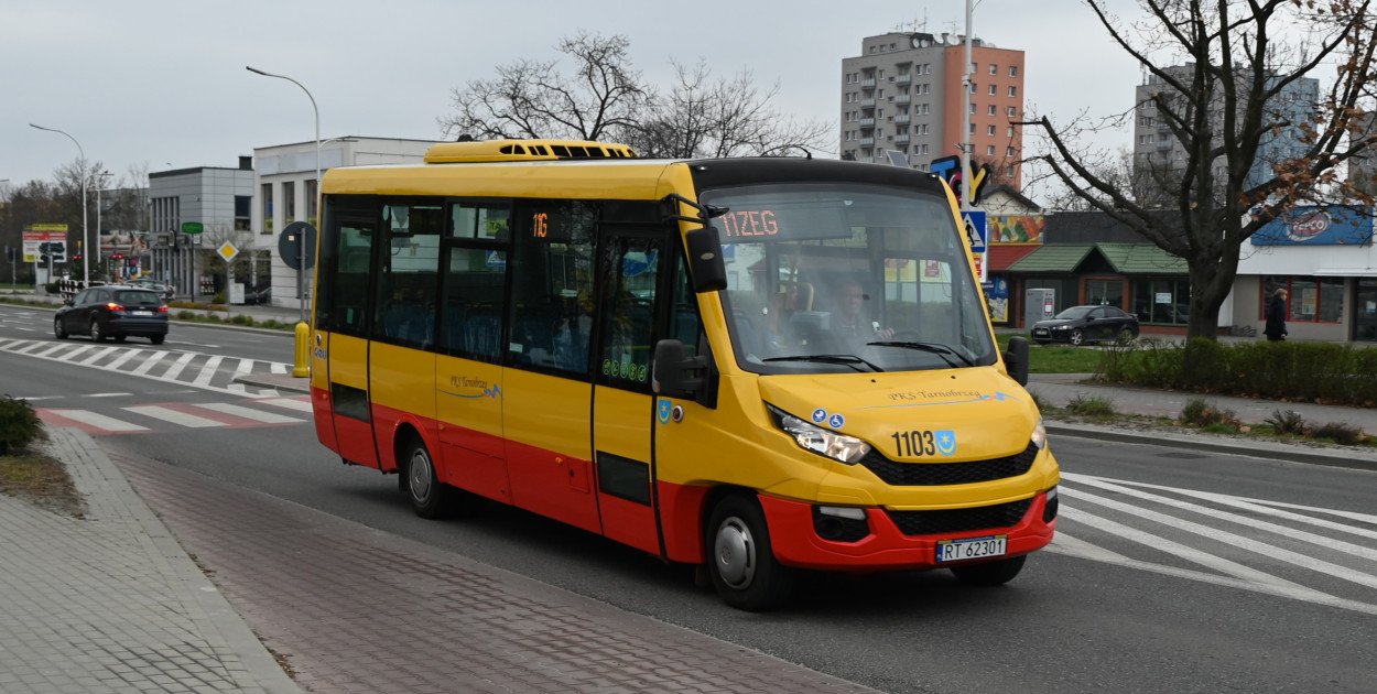 Na okres świąteczno-noworoczny pasażerów komunikacji miejskiej w Tarnobrzegu czekają istotne zmiany w rozkładzie jazdy.