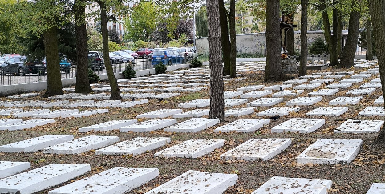 Są nowe środki na nekropolię w Tarnobrzegu