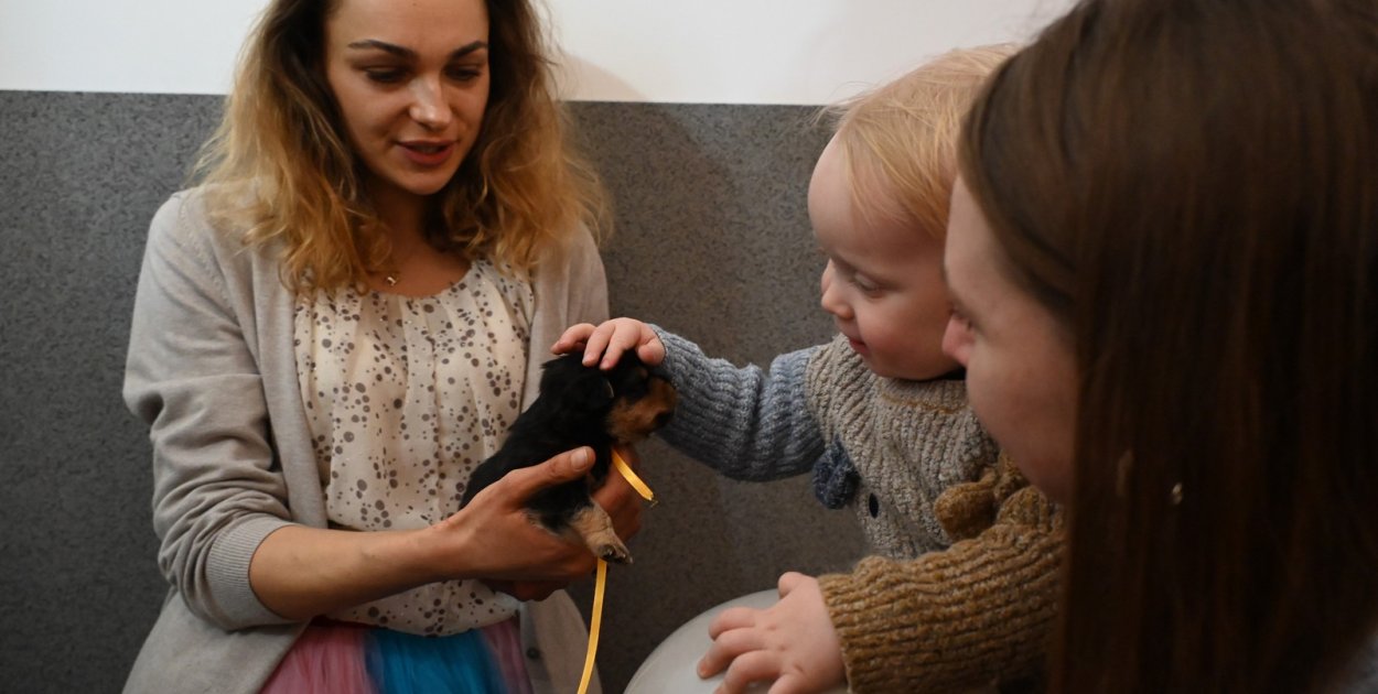 Nowe domy i pełne miski. Mieszkańcy Poręb Dębskich wsparli nowodębskie przytulisko