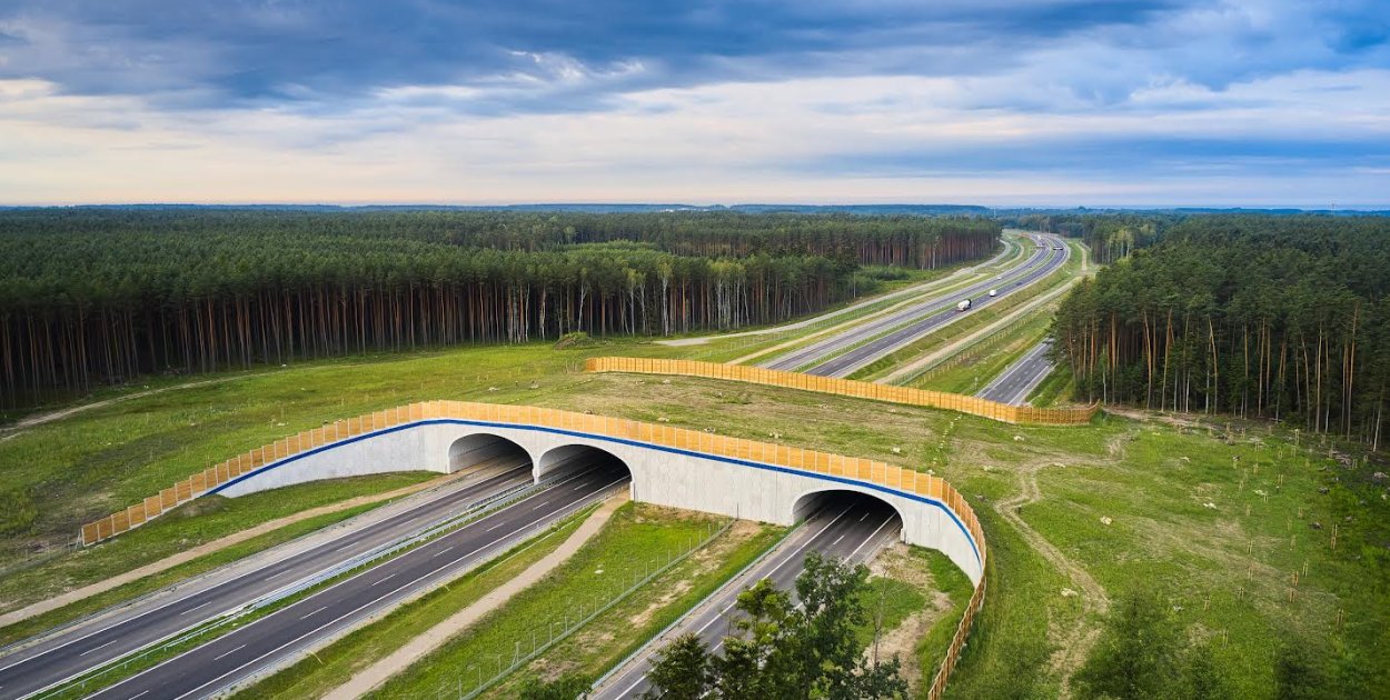 14 firm chce projektować ekspresową S74 między Opatowem a Niskiem