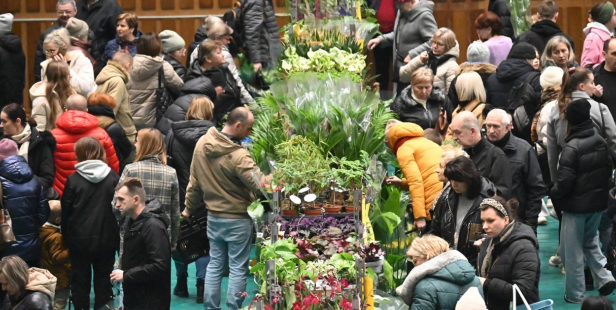 Już niebawem w Tarnobrzegu odbędzie się Festiwal Roślin
