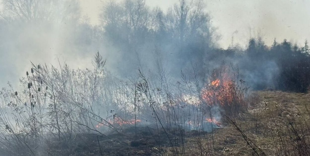 Zatrzymano 57-latka, który podpalił trawy