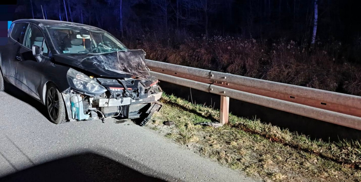 W Alfredówce osobowy Renault zderzył się z łanią