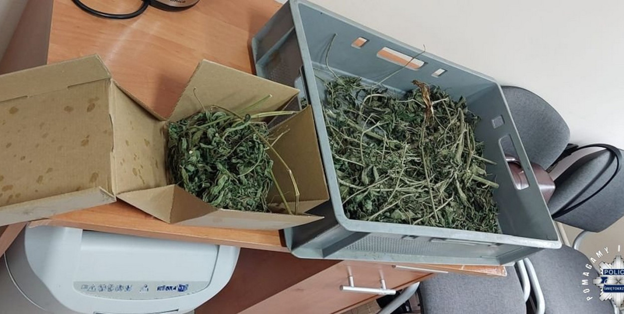 Pow. staszowski. Kierowca i pasażer fiata zatrzymani z narkotykami