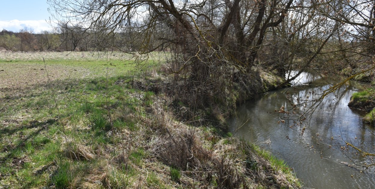 Wylali ścieki na łąkę przy rzece [Czytaj w gazecie]