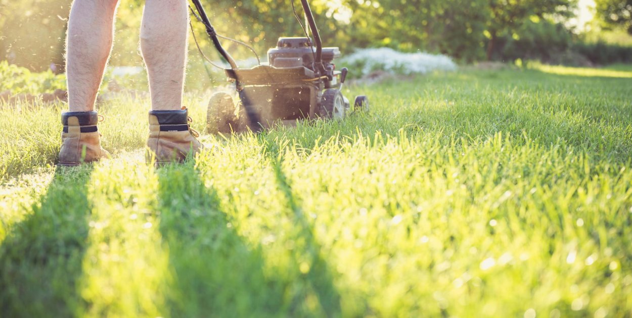 Kosiarka na dużą działkę. Na jakie parametry techniczne postawić przed pierwszym k