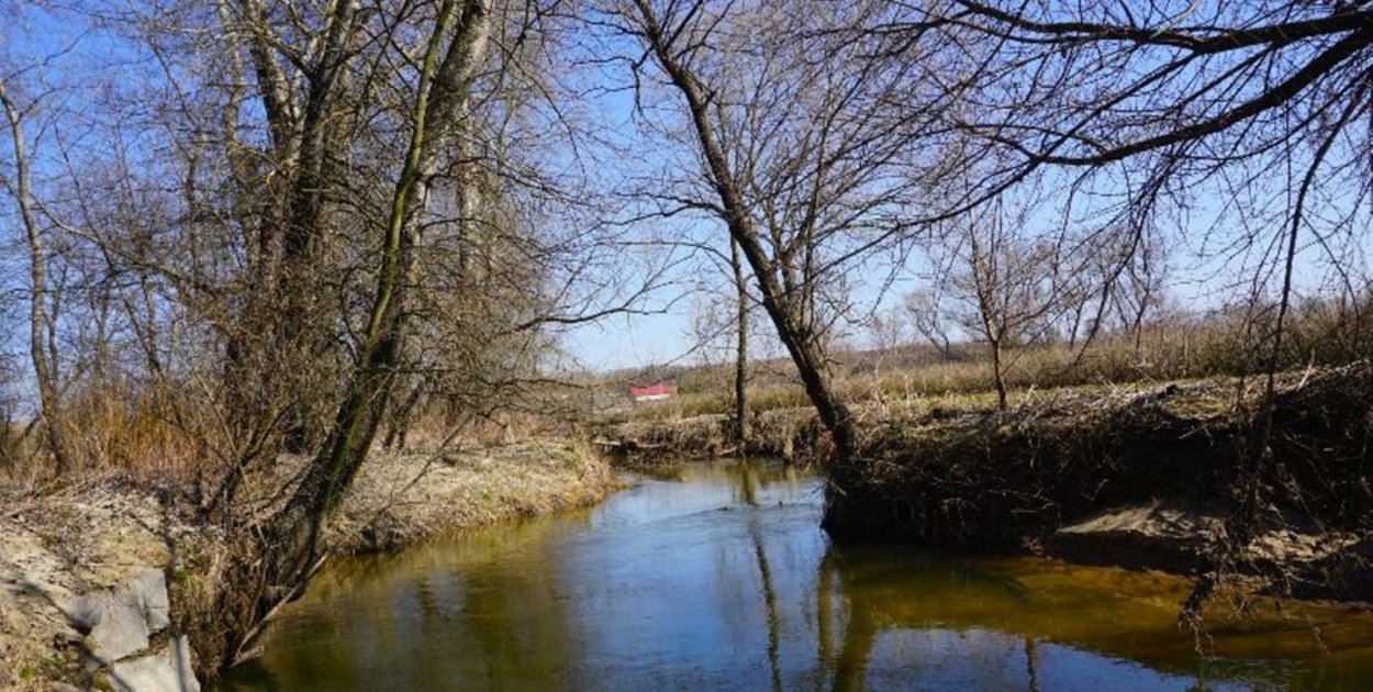 Ekologiczna akcja w Koprzywnicy